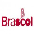 Brascol | Agência de Modelos Infantil